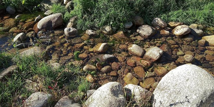 Programa 'Jóvenes por los ríos'