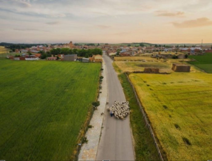 La Cañada Real Burgalesa a su paso por Fresno el Viejo