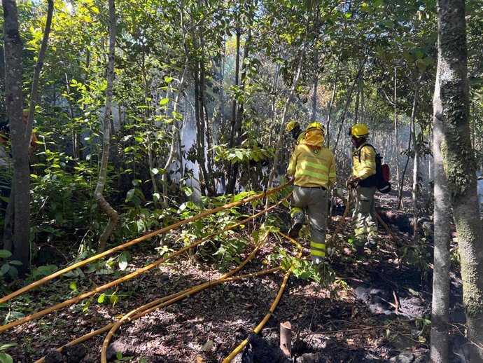 Efectivos de Brifor en el incendio forestal de Tenerife