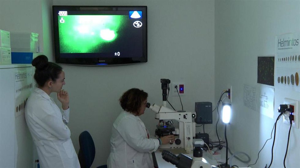 Profesionales del laboratorio GOlab- Gamaser de Global Omnium, que analiza la presencia del protozoo cryptosporidium en el agua
