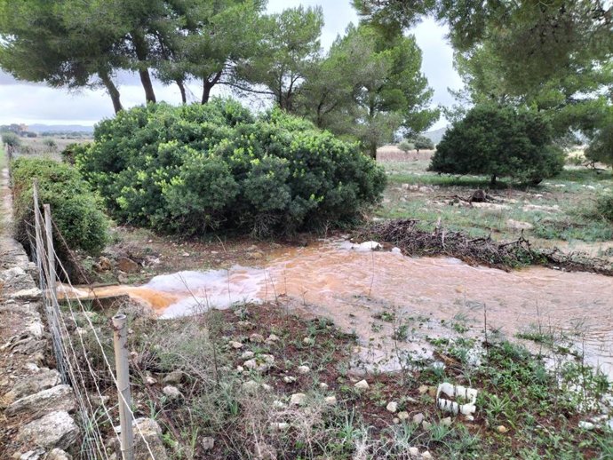 Cauce de agua en un torrente
