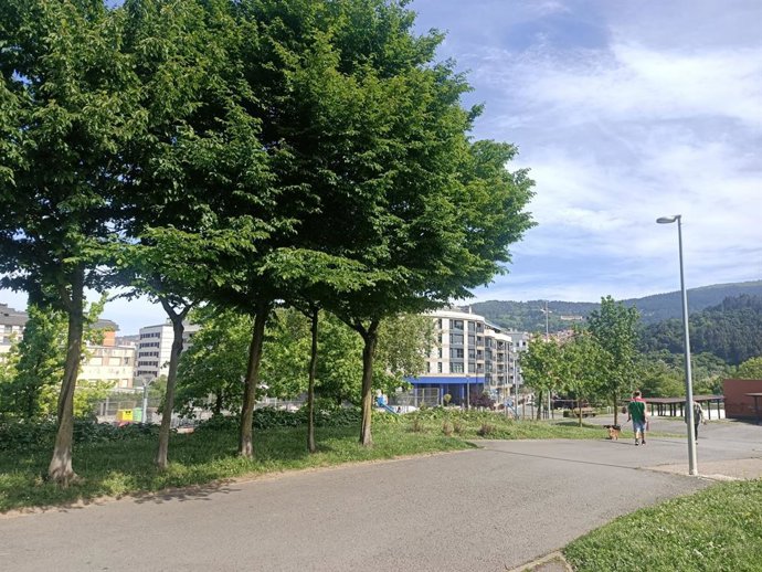 Parque de Basauri (Bizkaia)