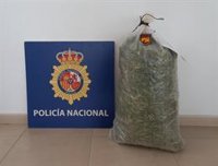 Detenido en Sanlúcar (Cádiz) un hombre que transportaba diez kilos de marihuana en un saco