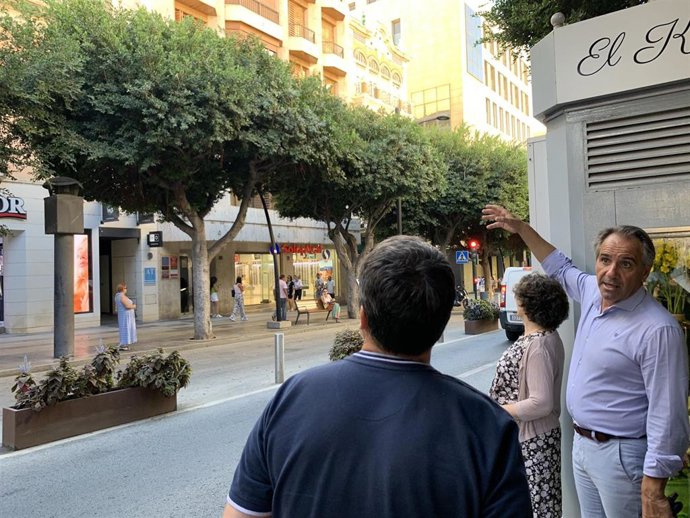 Archivo - Los árboles objeto de poda en el Paseo de Almería.