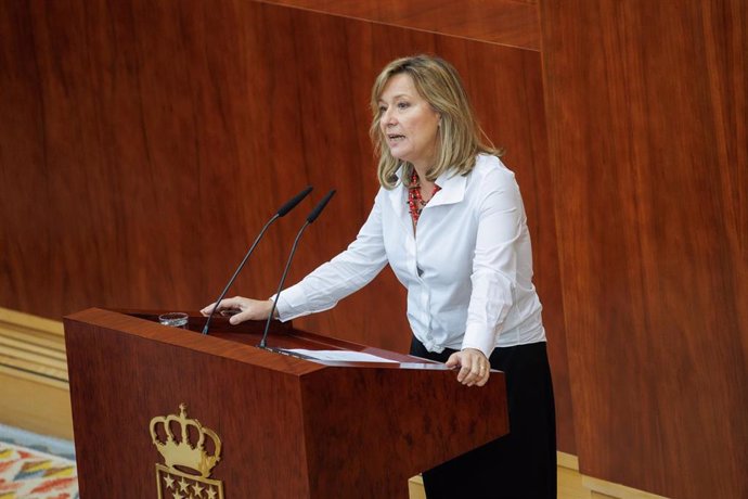 La diputada del PSOE, María de los Llanos Castellanos, interviene durante una sesión plenaria de la Asamblea de Madrid, a 5 de octubre