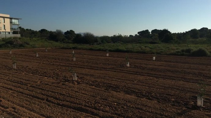 AVA-ASAJA denuncia pequeños hurtos "todos los días"