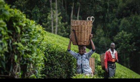 Comunicados Internacional