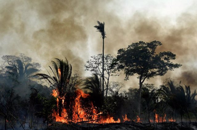 incendio en la Amazonia