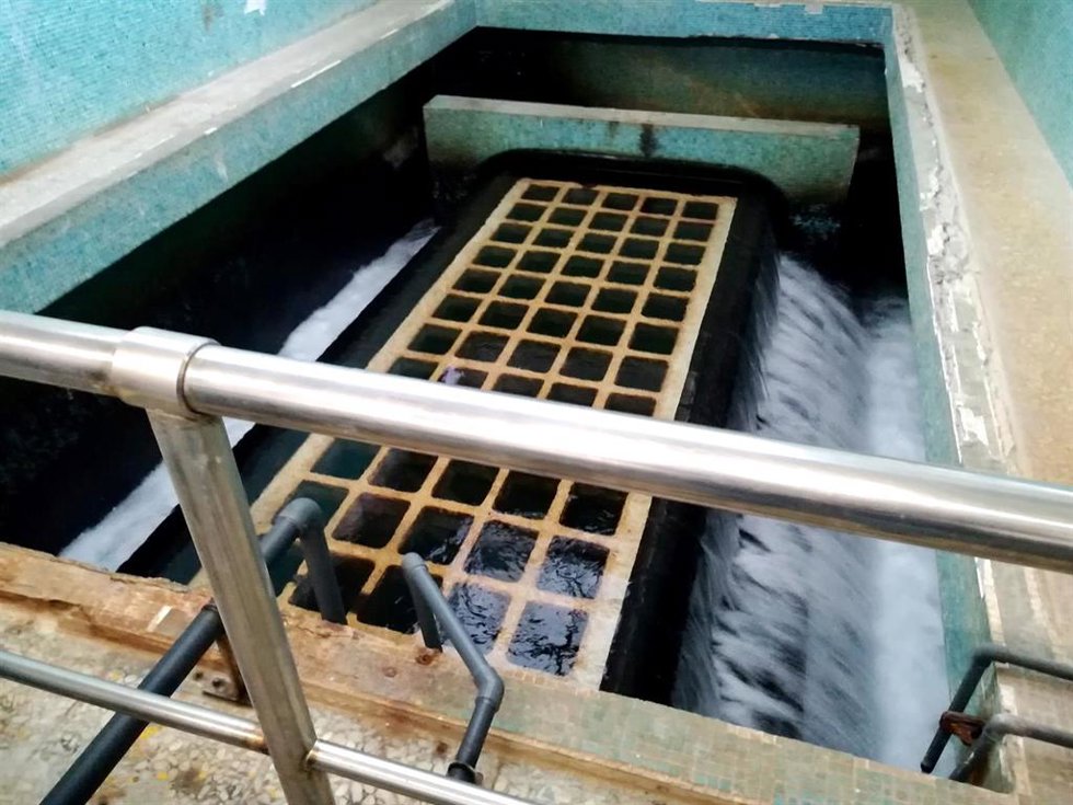 Archivo - Proyecto emerGEN impulsado por el Consorcio de Aguas de Bizkai