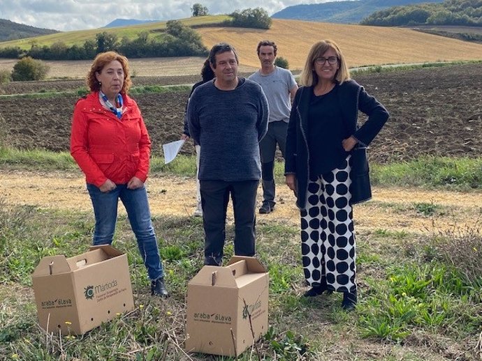 Diputación de Álava y el Ayuntamiento de Vitoria-Gasteiz liberan dos pollos de aguilucho pálido en Aberasturi