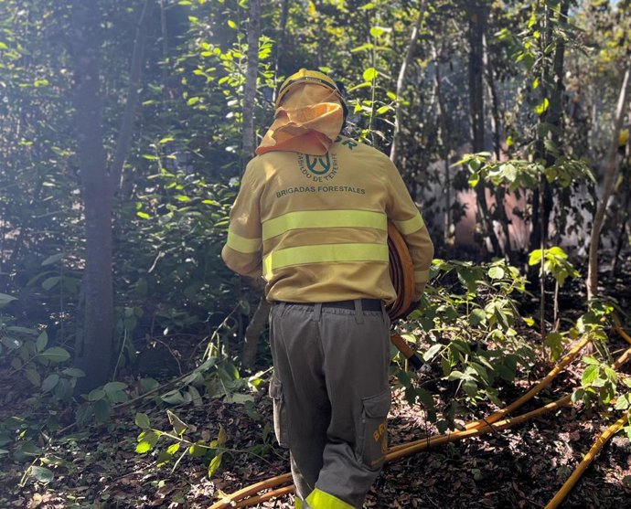 Brigada Forestal de Tenerife