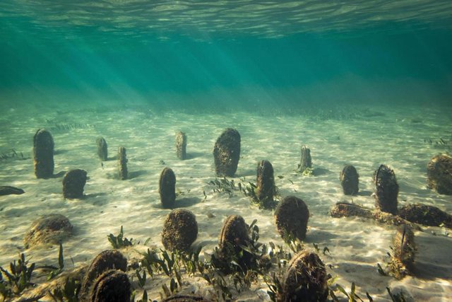 Archivo - Población Nacra