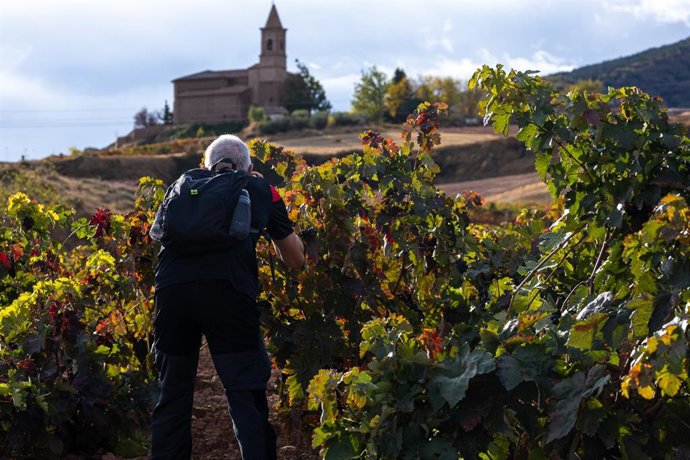 El Ayuntamiento de Ventosa organiza el III Rally Fotográfico 'Ventosa entre viñas', que se realizará el 22 de octubre
