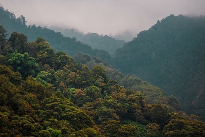 Foto de archivo en un incendio en CyL