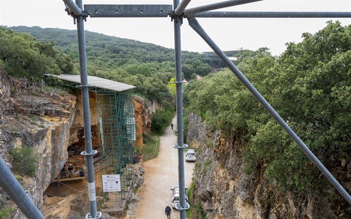 Archivo - La Fundación Atapuerca promueve la plantación de 24 árboles para reforestar el bosque de Grandas de Salime en Asturias