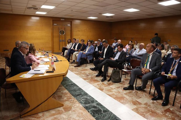 De Vicente destaca la "importancia" del compromiso de los gobiernos locales para conseguir núcleos urbanos sostenibles