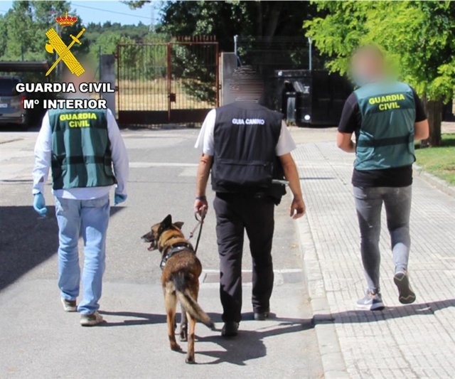 Desarticulado un punto de venta de droga en el Centro Penitenciario de Burgos.
