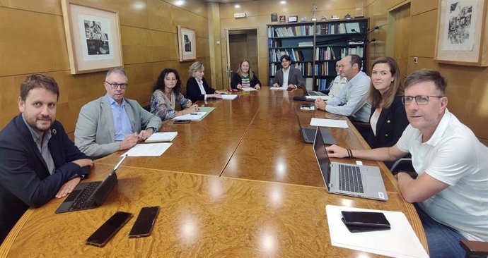 Comisión mixta para la reforma de la FP