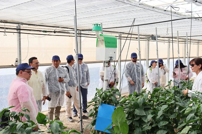 Los participacntes en el programa académico de dirección de empresas de agroalimentarias.