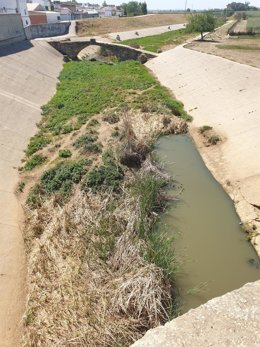Archivo - Arroyo Churres, en Lora del Río.