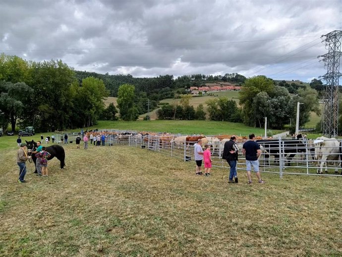 Archivo - Feria ganadera de 'San Ciprianuco' 2022