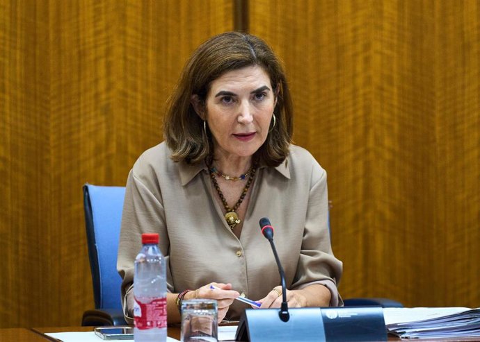 La consejera de Empleo, Empresa y Trabajo Autónomo, Rocío Blanco, comparece en comisión en el Parlamento andaluz.