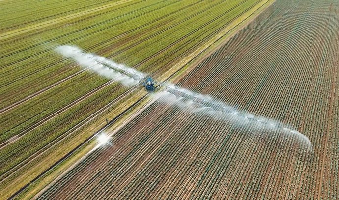 Archivo - Riego de explotaciones agrícolas