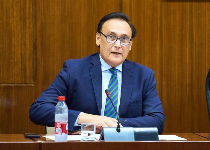 El consejero de Universidad, Investigación e Innovación, José Carlos Gómez Villamandos, en comisión parlamentaria