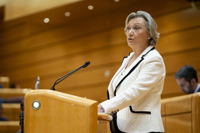 La senadora del PP Luisa Fernanda Rudí interviene durante una sesión plenaria en el Senado, a 17 de octubre de 2023.