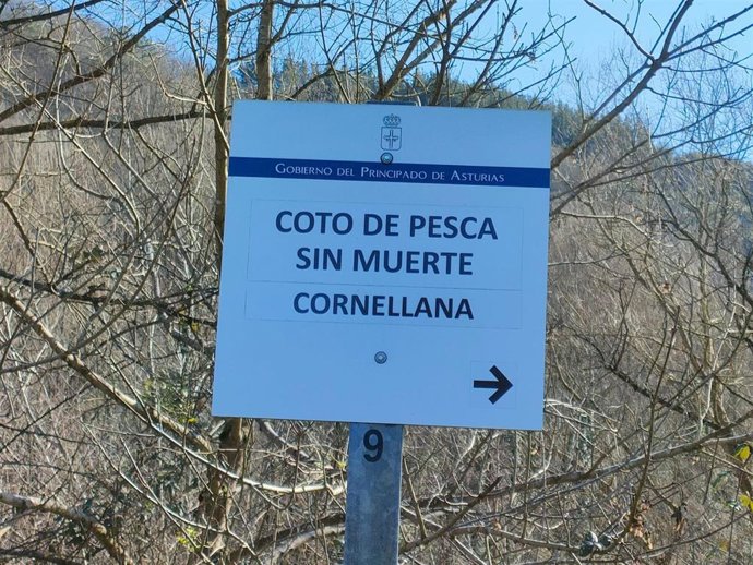 Archivo - Coto de pesca sin muerte en Cornellana (Asturias).