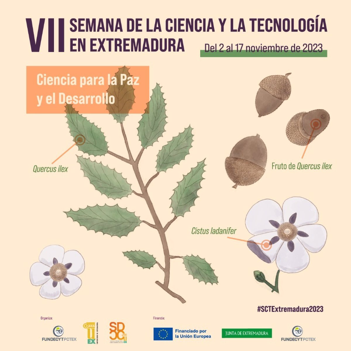 The VII Science and Technology Week in Extremadura will offer more than 100 outreach activities
