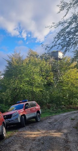 Palomera en la que se ha producido el accidente.