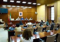 El Parlamento andaluz pone en marcha su grupo de trabajo para la lucha contra la violencia de género