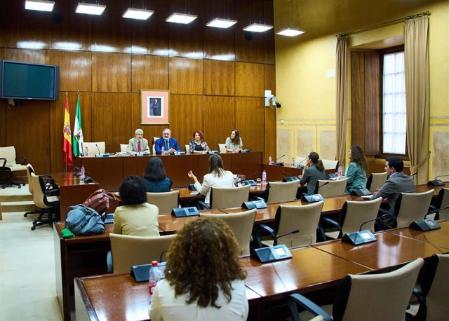 Sesión constitutiva del grupo de trabajo contra la violencia de género en el Parlamento andaluz.