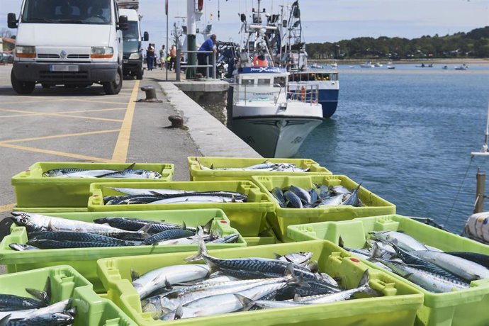 Archivo - Cajas de pescado en las inmediaciones donde está amarrado un barco  