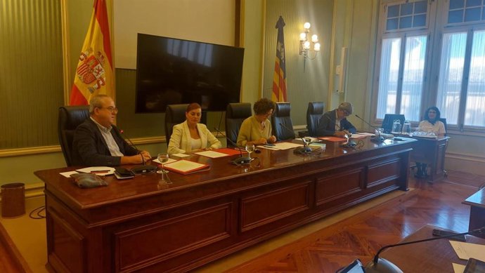 El director y gerente del Ibavi, Roberto María Cayuela, durante su comparecencia en la Comisión de Asuntos Institucionales y Generales del Parlament.