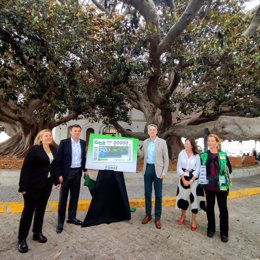 Presentación del cupón de la ONCE dedicado al 'Árbol del Mora' en Cádiz.