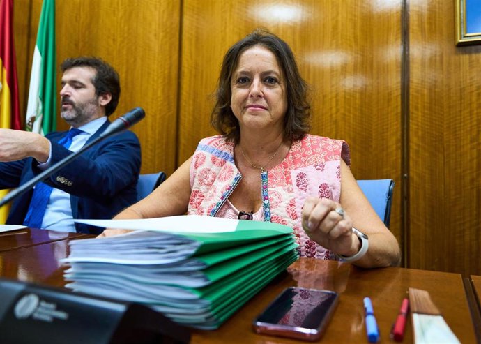 La consejera de Salud y Consumo, Catalina García, en comisión parlamentaria
