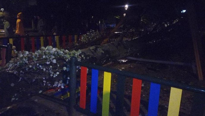 Vigo registra la caída de un árbol sobre un parque infantil.