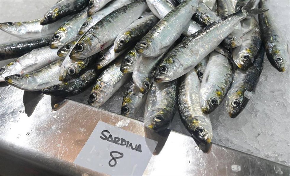 Archivo - Sardinas en las pescadería 