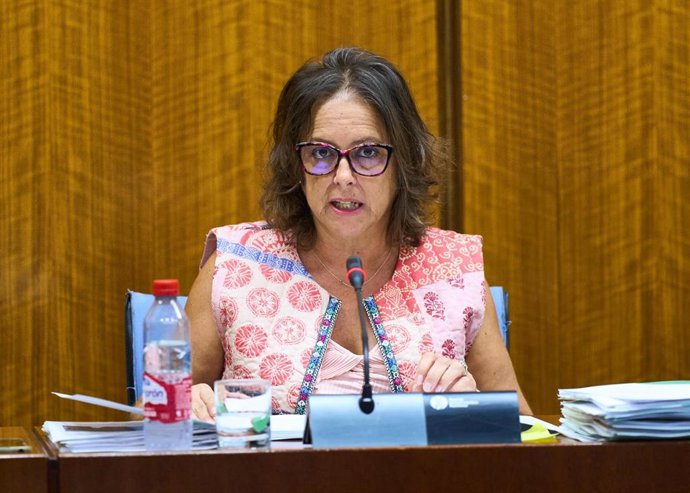 La consejera de Salud y Consumo de la Junta de Andalucía, Catalina García, en comisión parlamentaria