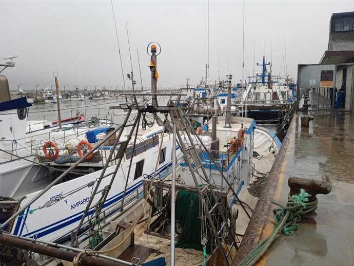 Barcos pesqueros de Sanlúcar amarrados al puerto en una foto de archivo