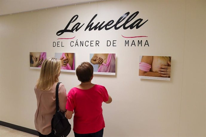 Nota, Fotos Y Video Cáncer De Mama