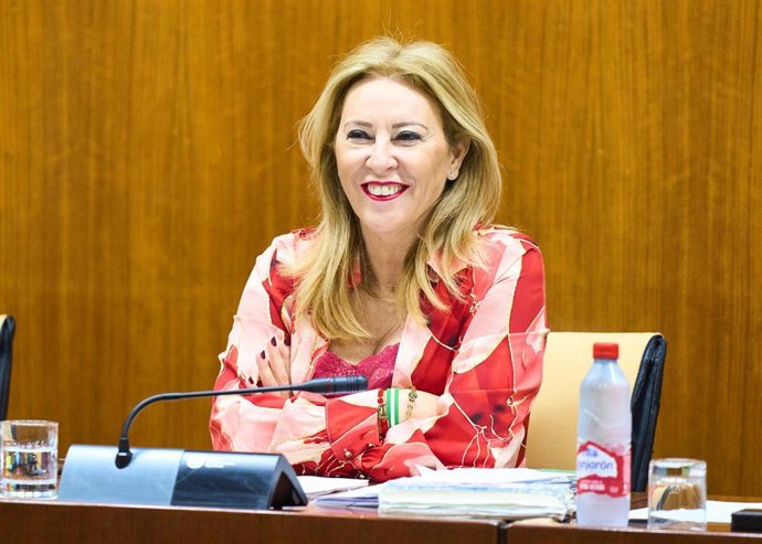 La consejera de Economía, Hacienda y Fondos Europeos, Carolina España, en comisión parlamentaria.