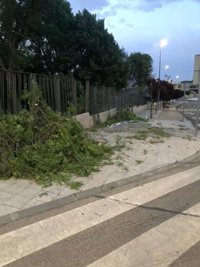 Ayuntamiento de Guadalajara cierra los parques ante la previsión de fuertes vientos de hasta 90 kilómetros por hora