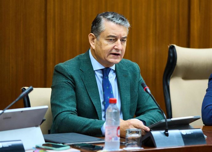 El consejero de la Presidencia, Antonio Sanz, este jueves durante su comparecencia en comisión.