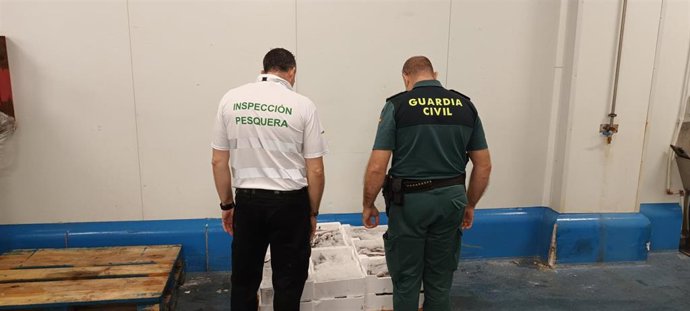 Inspección en una distribuidora de pescado.