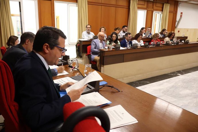 Celebración del Pleno del Ayuntamiento de Córdoba.