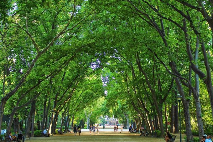 Archivo - Parque de Abelardo Sánchez en Albacete