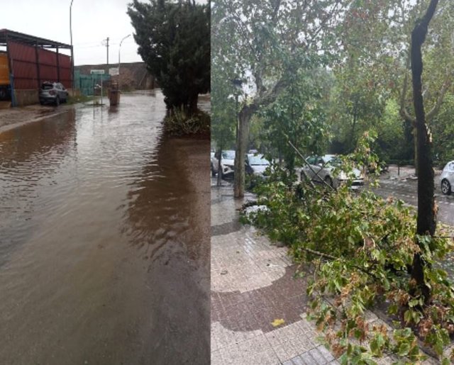 Árboles caídos y balsas de agua en Cáceres por los efectos de la tormenta 'Aline'
